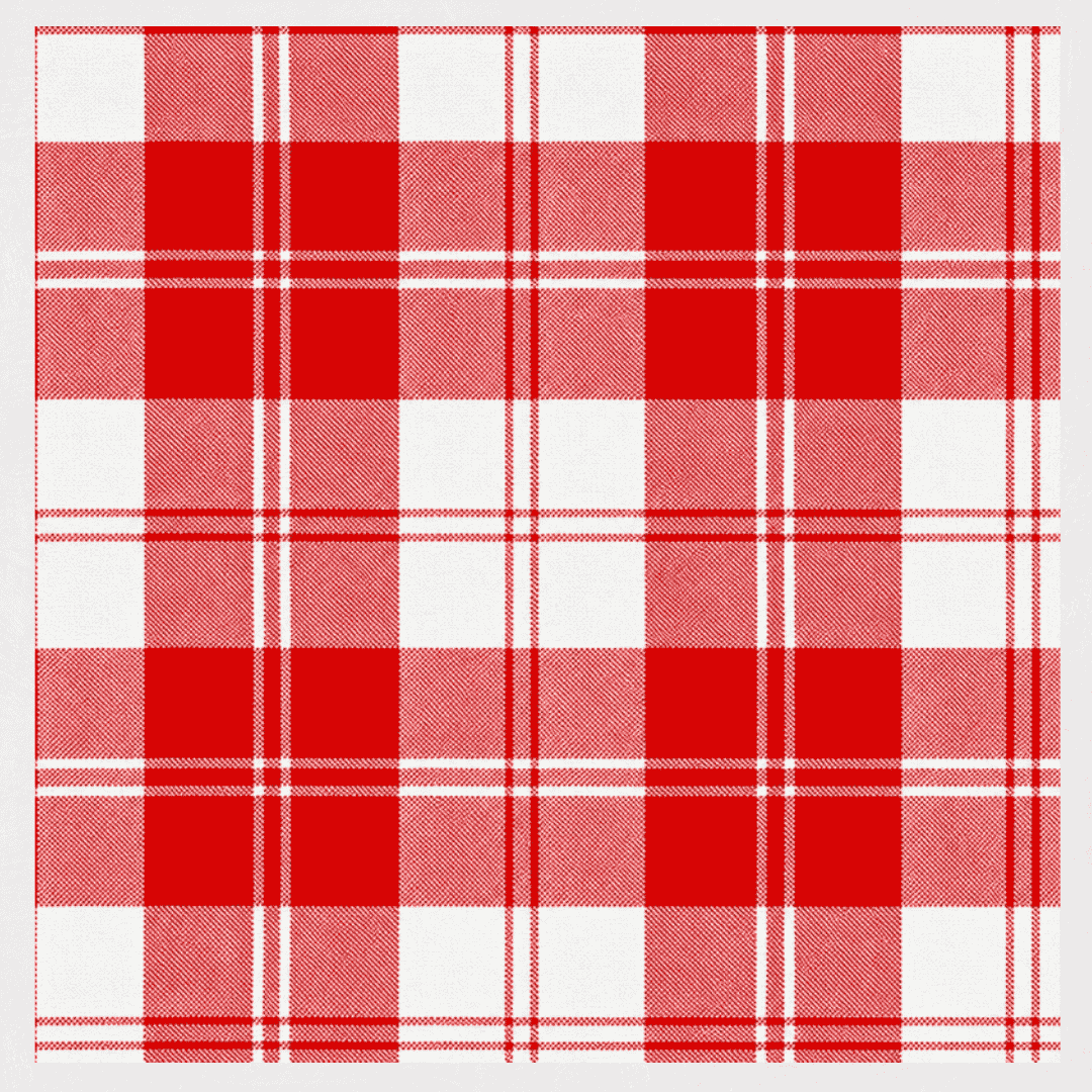 Erskine Red Tartan Kilt featuring bold Scottish clan tartan with traditional pleated Highland design