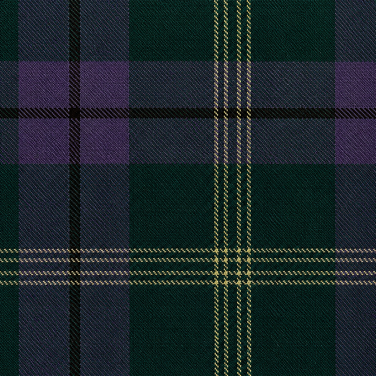 Family Tartan Kilt featuring traditional tartan pattern with classic pleated Highland design