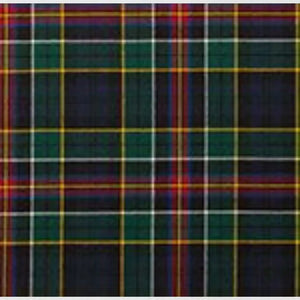 Allison Modern Tartan Kilt – Stylish Scottish Highland Wear