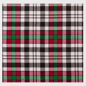 Borthwick Dress Modern Reiver Tartan Kilt – Scottish Outfit