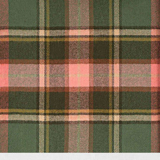 Bruce of Kinnaird Antique Tartan Kilt with traditional Scottish pleated design
