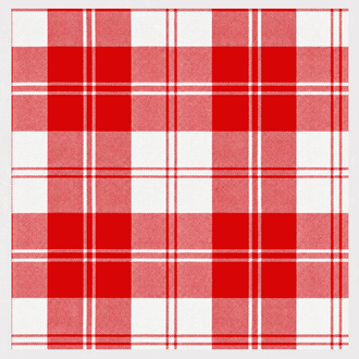 Erskine Red Tartan Kilt featuring bold Scottish clan tartan with traditional pleated Highland design