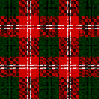 Fanton Tartan Kilt featuring authentic tartan pattern with traditional pleated Highland design
