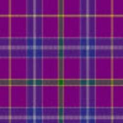 Jackson tartan displayed in formal Scottish Highland wear style with classic plaid pattern and heritage-inspired design
